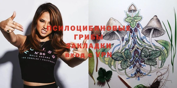 PSILOCYBIN Каменка