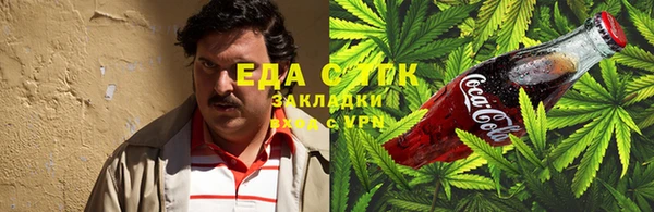 тгк Каменногорск